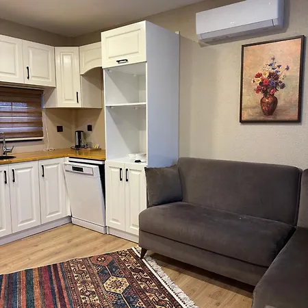 Some Tiny House Boutique Antakya