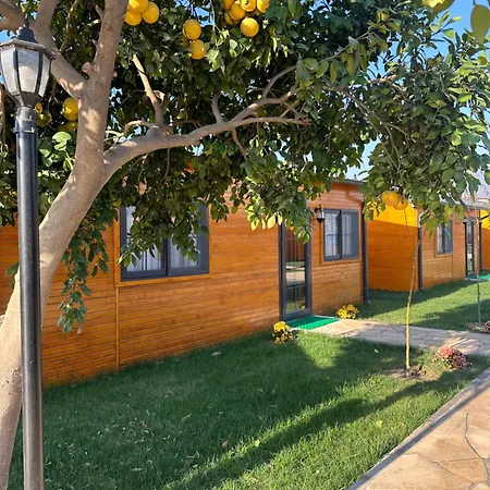 Some Tiny House Boutique Hotel